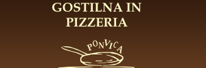 Ponvica